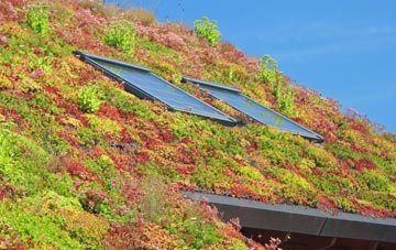 Scotstoun living roof systems