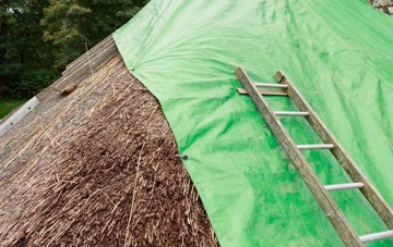 maintaining Scotstoun thatch